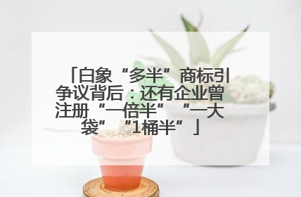 白象“多半”商标引争议背后：还有企业曾注册“一倍半”“一大袋”“1桶半”