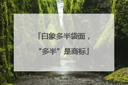白象多半袋面，“多半”是商标