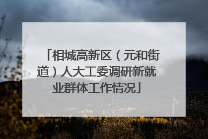 相城高新区（元和街道）人大工委调研新就业群体工作情况