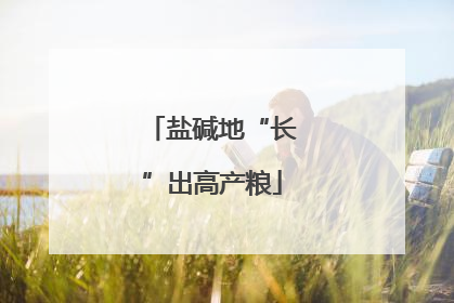 盐碱地“长”出高产粮