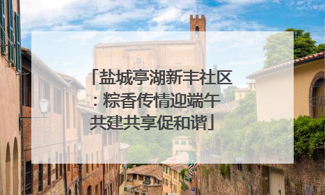 盐城亭湖新丰社区：粽香传情迎端午 共建共享促和谐