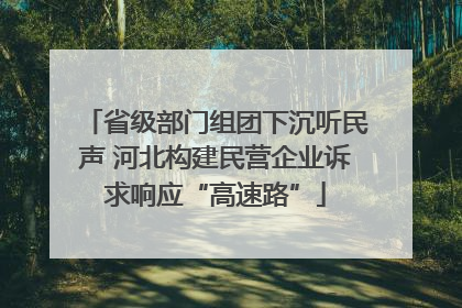 省级部门组团下沉听民声 河北构建民营企业诉求响应“高速路”