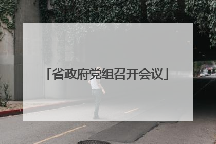 省政府党组召开会议