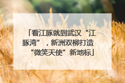 看江豚就到武汉“江豚湾”，新洲双柳打造“微笑天使”新地标