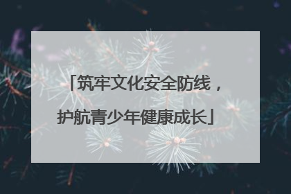 筑牢文化安全防线，护航青少年健康成长