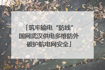 筑牢输电“防线” 国网武汉供电多维防外破护航电网安全