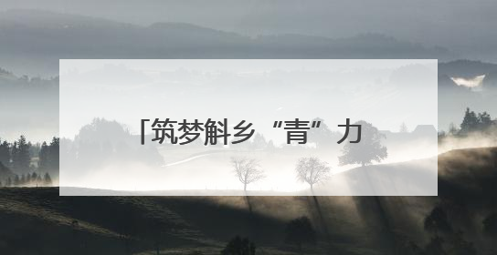 筑梦斛乡“青”力量：太平畈乡乡村振兴青春进行时