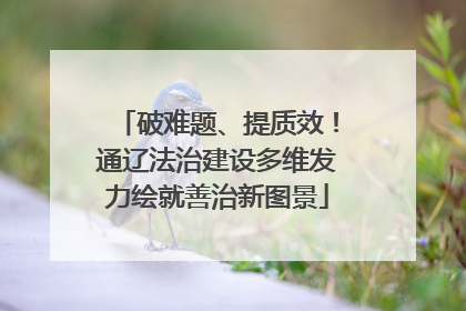 破难题、提质效！通辽法治建设多维发力绘就善治新图景