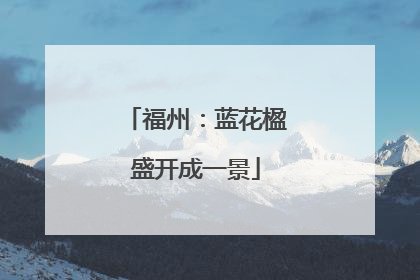 福州：蓝花楹盛开成一景