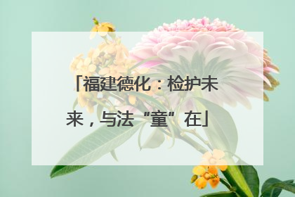福建德化：检护未来，与法“童”在