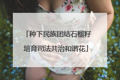 种下民族团结石榴籽 培育司法共治和谐花