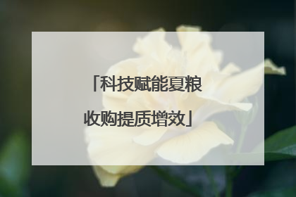 科技赋能夏粮收购提质增效