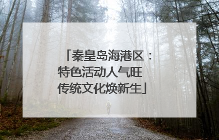 秦皇岛海港区：特色活动人气旺 传统文化焕新生