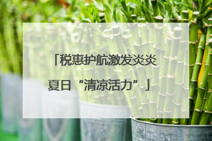 税惠护航激发炎炎夏日“清凉活力”