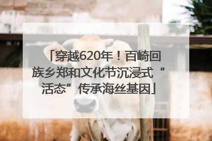 穿越620年！百崎回族乡郑和文化节沉浸式“活态”传承海丝基因