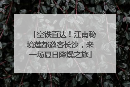 空铁直达！江南秘境莲都邀客长沙，来一场夏日降燥之旅
