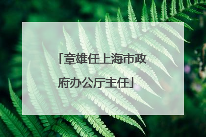 章雄任上海市政府办公厅主任