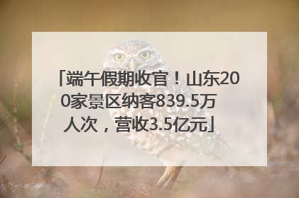 端午假期收官！山东200家景区纳客839.5万人次，营收3.5亿元