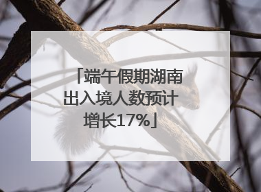 端午假期湖南出入境人数预计增长17%