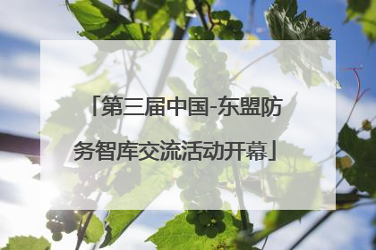 第三届中国-东盟防务智库交流活动开幕