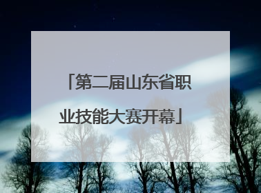 第二届山东省职业技能大赛开幕