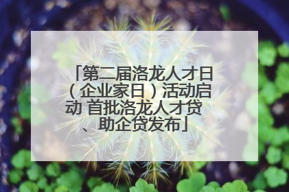 第二届洛龙人才日（企业家日）活动启动 首批洛龙人才贷、助企贷发布