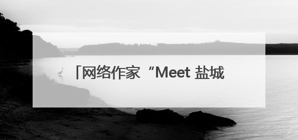 网络作家“Meet 盐城”采风活动走进盐城经开区