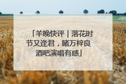 羊晚快评｜落花时节又逢君，睹万梓良酒吧演唱有感