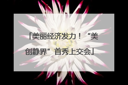 美丽经济发力！“美创静界”首秀上交会
