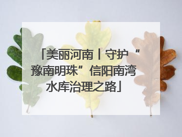 美丽河南丨守护“豫南明珠”信阳南湾水库治理之路