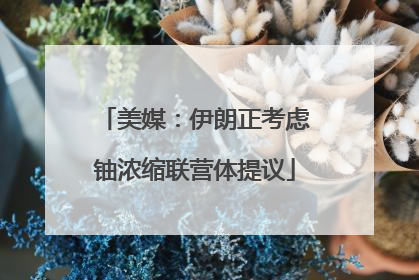 美媒：伊朗正考虑铀浓缩联营体提议
