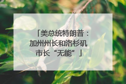 美总统特朗普：加州州长和洛杉矶市长“无能”