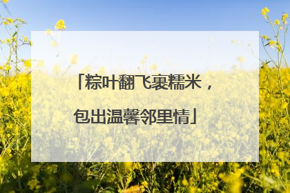 粽叶翻飞裹糯米，包出温馨邻里情