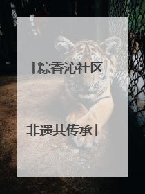 粽香沁社区 非遗共传承