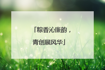 粽香沁廉韵，青创展风华