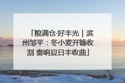 粮满仓·好丰光｜滨州邹平：冬小麦开镰收割 奏响夏日丰收曲