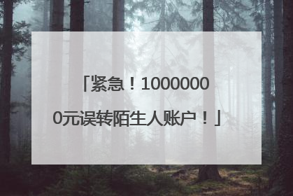 紧急！10000000元误转陌生人账户！