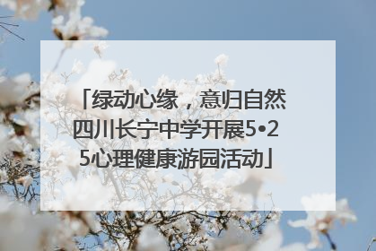 绿动心缘，意归自然 四川长宁中学开展5•25心理健康游园活动
