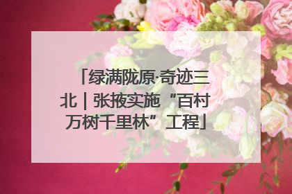 绿满陇原·奇迹三北｜张掖实施“百村万树千里林”工程