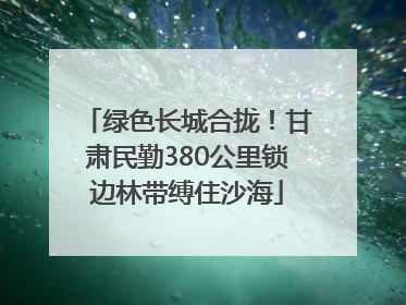 绿色长城合拢！甘肃民勤380公里锁边林带缚住沙海
