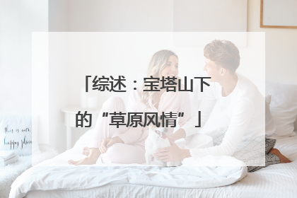 综述：宝塔山下的“草原风情”