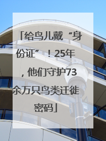 给鸟儿戴“身份证”！25年，他们守护73余万只鸟类迁徙密码