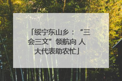 绥宁东山乡：“三会三文”领航向 人大代表助农忙