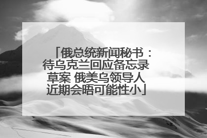 俄总统新闻秘书：待乌克兰回应备忘录草案 俄美乌领导人近期会晤可能性小