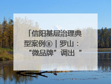 信阳基层治理典型案例⑧｜罗山：“微品牌”调出“大和谐”
