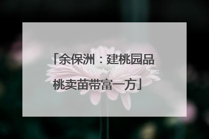余保洲：建桃园品桃卖苗带富一方