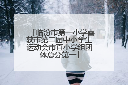 临汾市第一小学喜获市第二届中小学生运动会市直小学组团体总分第一