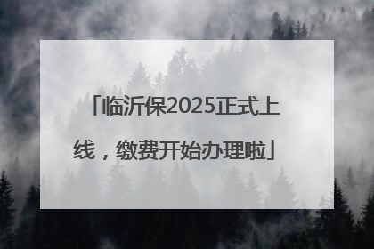 临沂保2025正式上线，缴费开始办理啦