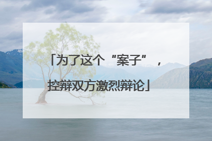 为了这个“案子”，控辩双方激烈辩论
