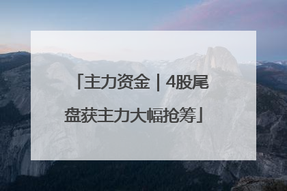 主力资金｜4股尾盘获主力大幅抢筹